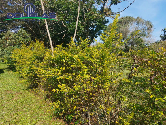 Imagem Terreno à Venda, 595 m² em águas Claras - Viamão