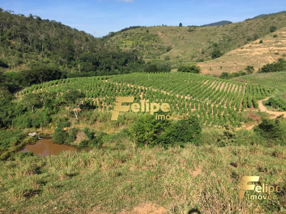 Imagem Imóvel com 1 Quarto à Venda, 55 m² em área Rural De Colatina - Colatina