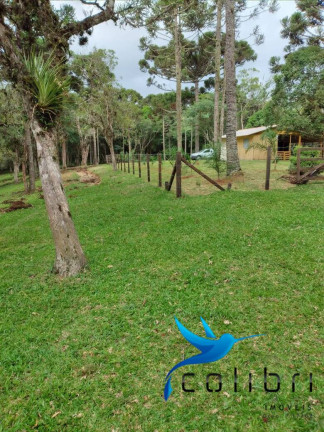 Imagem Chácara com 2 Quartos à Venda, 38.800 m² em Tarumã - Agudos Do Sul