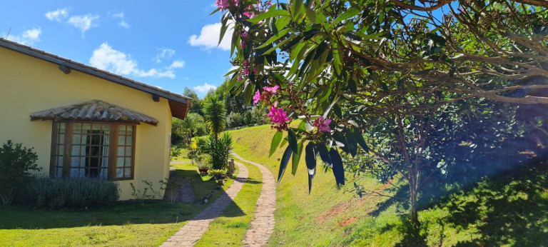Imagem Chácara com 3 Quartos à Venda, 24.000 m² em Pedra Bela