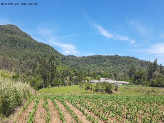 Imagem Terreno à Venda, 8 m² em Linha Temerária - Nova Petrópolis Imagem Terreno à Venda, 8 m² em Linha Temerária - Nova Petrópolis