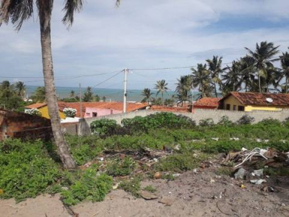 Imagem Terreno à Venda, 1.000 m² em Tibau Do Sul Imagem Terreno à Venda, 1.000 m² em Tibau Do Sul