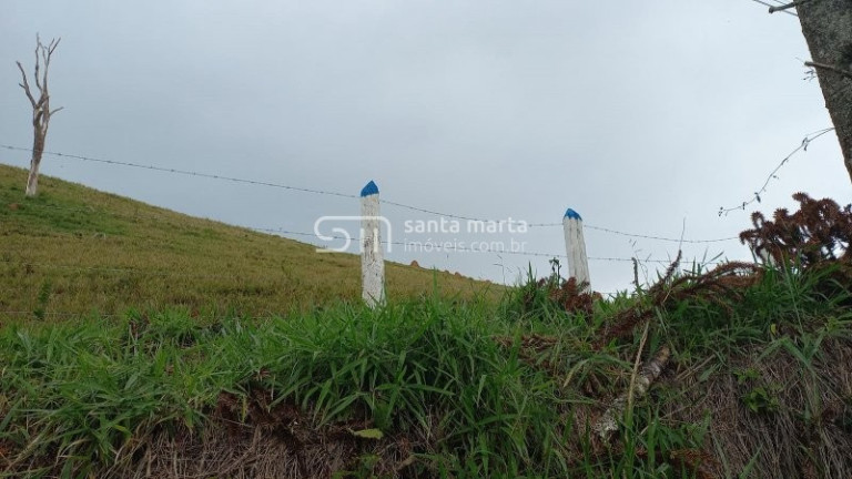Imagem Imóvel com 5 Quartos à Venda, 375 m² em Pinhal Novo - Lorena