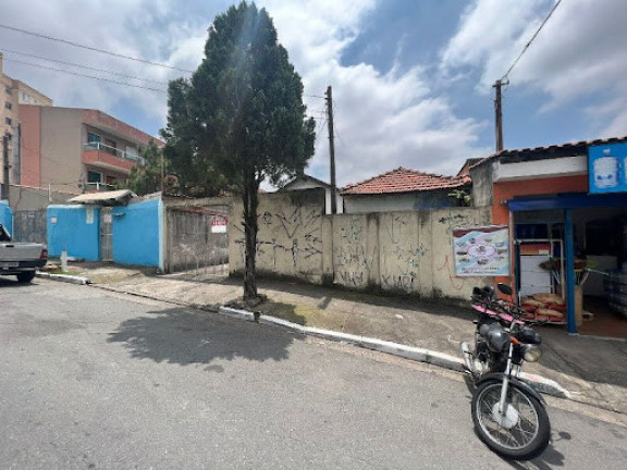 Imagem Terreno à Venda, 260 m² em Vila Guilhermina - São Paulo Imagem Terreno à Venda, 260 m² em Vila Guilhermina - São Paulo