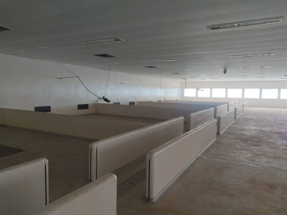 Imagem Chácara com 4 Quartos à Venda, 850 m² em Itarassú - Capela Do Alto