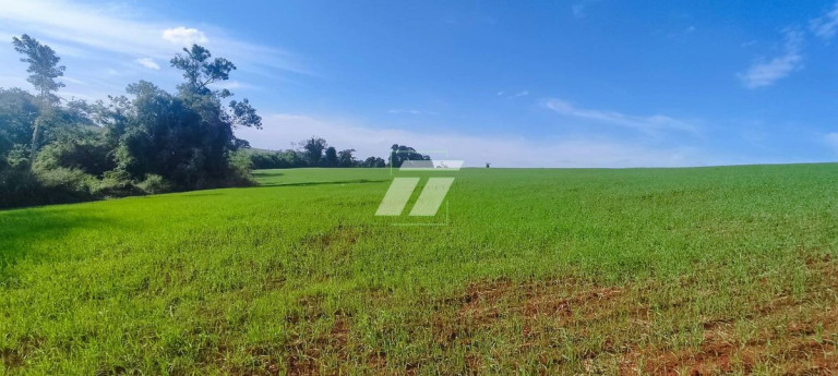 Imagem Fazenda à Venda, em Braganey Imagem Fazenda à Venda, em Braganey
