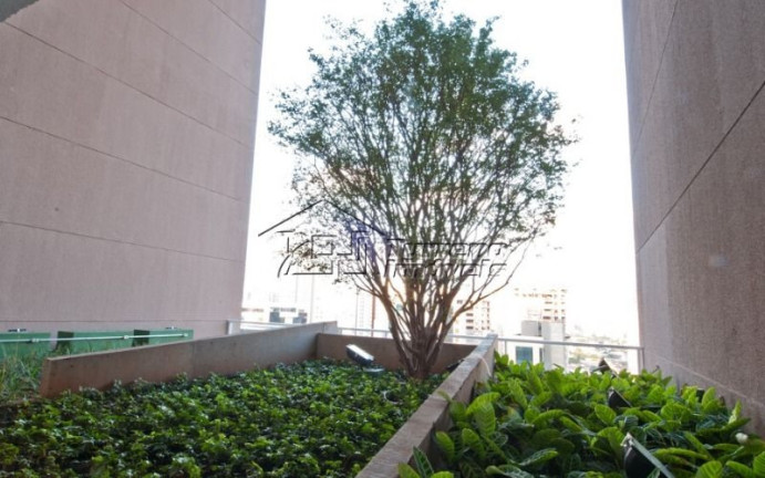 Imagem Imóvel para Alugar, 500 m² em Berrini - São Paulo