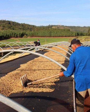 Imagem Fazenda à Venda, 330 m² em Ribeirão Preto Imagem Fazenda à Venda, 330 m² em Ribeirão Preto