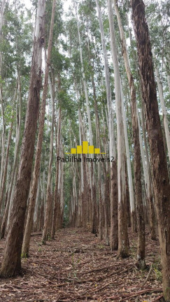 Imagem Fazenda à Venda, 241 m² em Guaratinguetá Imagem Fazenda à Venda, 241 m² em Guaratinguetá