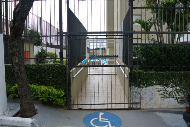 Imagem Apartamento com 2 Quartos à Venda, 64 m² em Vila Santa Catarina - São Paulo Imagem Apartamento com 2 Quartos à Venda, 64 m² em Vila Santa Catarina - São Paulo
