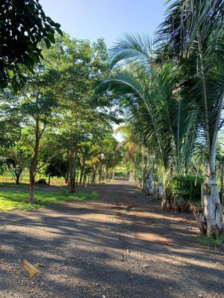 Imagem Chácara com 4 Quartos à Venda, 70.000 m² em Parque Fazenda Imbirussu - Campo Grande Imagem Chácara com 4 Quartos à Venda, 70.000 m² em Parque Fazenda Imbirussu - Campo Grande