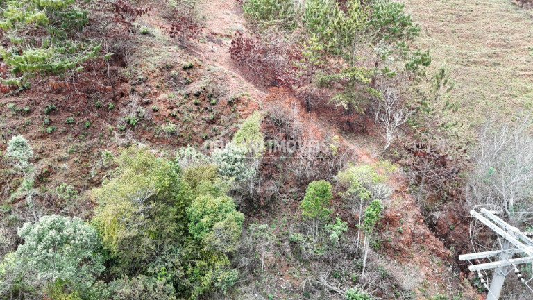 Imagem Terreno à Venda, 1.800 m² em Região De Descansópolis - Campos Do Jordão Imagem Terreno à Venda, 1.800 m² em Região De Descansópolis - Campos Do Jordão