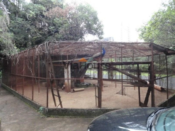 Chácara com 4 Quartos à Venda, 13.888 m² em Jardim Sao Luiz - Ribeirão Preto