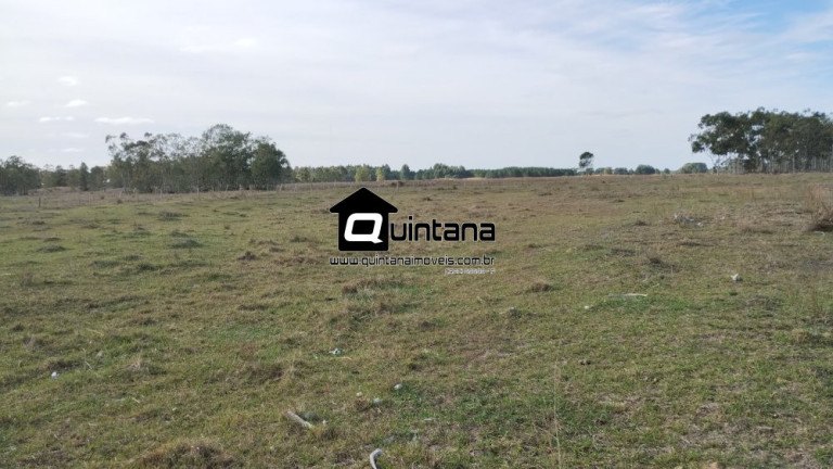 Imagem Imóvel com 2 Quartos à Venda, 470.000 m² em Quinta - Rio Grande