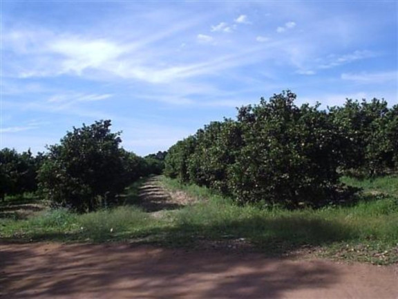 Imagem Imóvel à Venda, 132.000 m² em Parada - Artur Nogueira Imagem Imóvel à Venda, 132.000 m² em Parada - Artur Nogueira