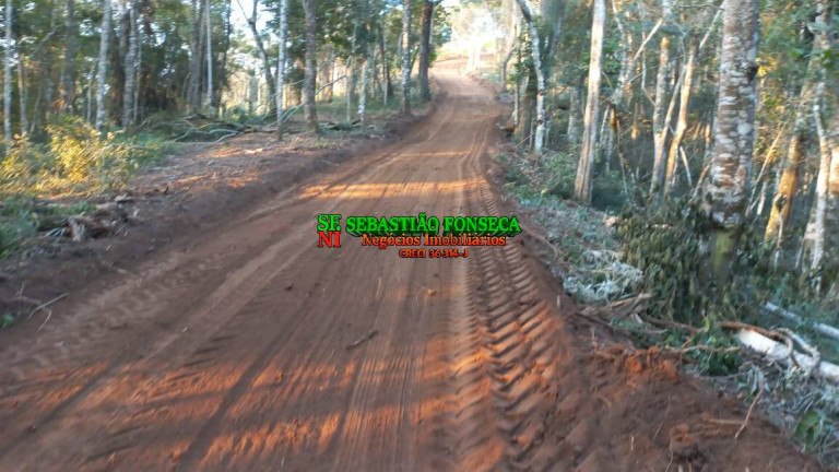 Imagem Chácara à Venda, 20.000 m² em Centro - Monteiro Lobato Imagem Chácara à Venda, 20.000 m² em Centro - Monteiro Lobato