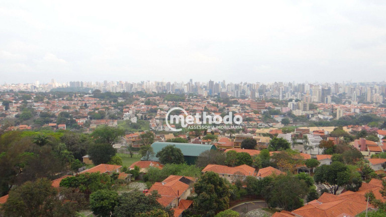 Imagem Apartamento com 3 Quartos à Venda, 100 m² em Jardim Das Paineiras - Campinas Imagem Apartamento com 3 Quartos à Venda, 100 m² em Jardim Das Paineiras - Campinas