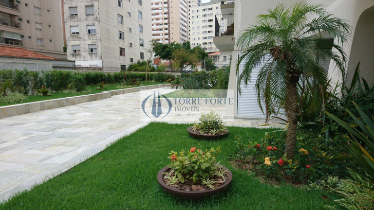 Imagem Apartamento com 3 Quartos à Venda, 85 m² em Vila Mariana - São Paulo Imagem Apartamento com 3 Quartos à Venda, 85 m² em Vila Mariana - São Paulo