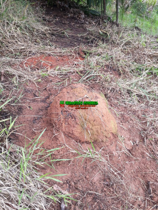 Imagem Chácara à Venda, 750 m² em Sob. Consulta - Paraibuna Imagem Chácara à Venda, 750 m² em Sob. Consulta - Paraibuna