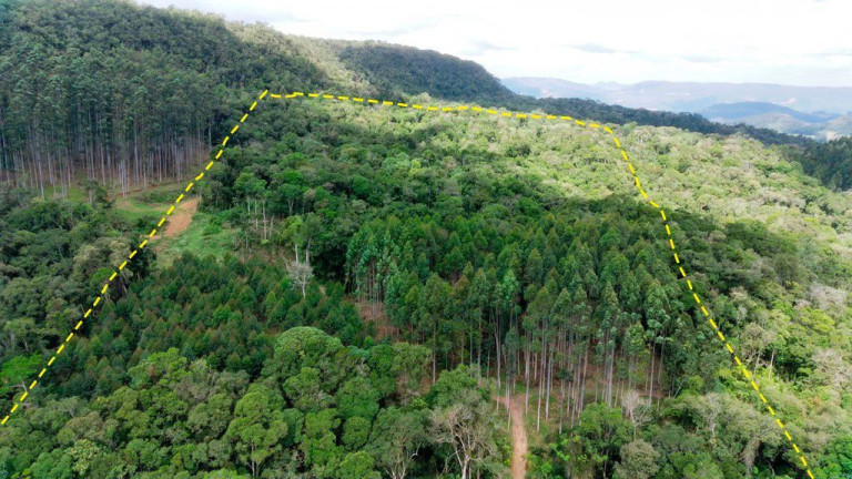 Imagem Imóvel com 5 Quartos à Venda, 140.000 m² em Zona Rural - Presidente Nereu