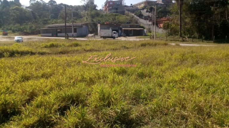 Imagem Chácara à Venda, 4.000 m² em Ipelândia - Suzano Imagem Chácara à Venda, 4.000 m² em Ipelândia - Suzano