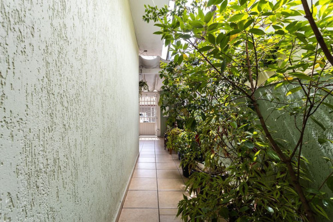 Imagem Casa com 2 Quartos à Venda,  em Parque Capuava - Santo André