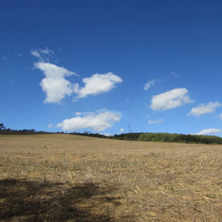 Imagem Fazenda à Venda, 240 m² em Jardim Do Contorno - Poços De Caldas Imagem Fazenda à Venda, 240 m² em Jardim Do Contorno - Poços De Caldas