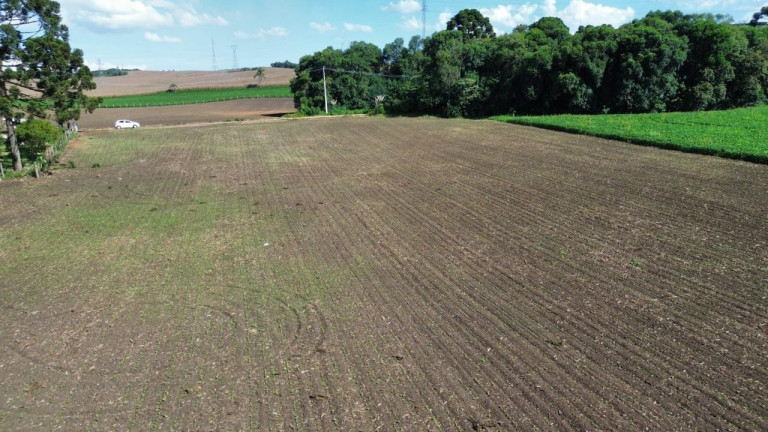 Imagem Fazenda à Venda, 19.400 m² em Tranqueira - Almirante Tamandare Imagem Fazenda à Venda, 19.400 m² em Tranqueira - Almirante Tamandare