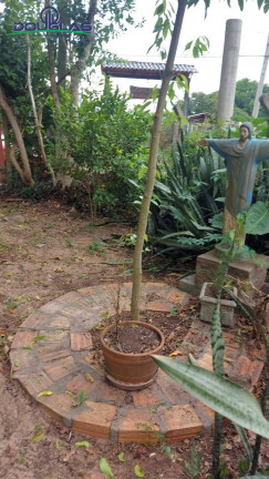 Imagem Casa com 2 Quartos à Venda, em águas Claras - Viamão Imagem Casa com 2 Quartos à Venda, em águas Claras - Viamão