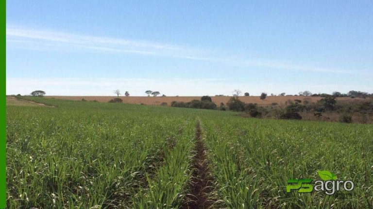 Imagem Fazenda à Venda, 150.766 m² em Centro - Itapura