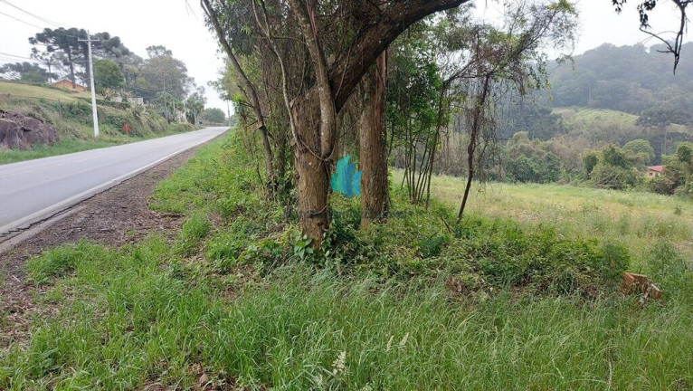 Imagem Terreno à Venda, 10.159 m² em Vale Dos Vinhedos - Bento Gonçalves Imagem Terreno à Venda, 10.159 m² em Vale Dos Vinhedos - Bento Gonçalves