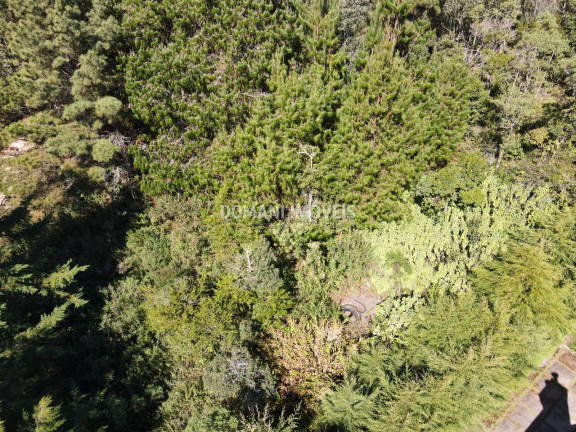 Imagem Terreno à Venda, 1.090 m² em Região Do Alto Do Capivari - Campos Do Jordão Imagem Terreno à Venda, 1.090 m² em Região Do Alto Do Capivari - Campos Do Jordão