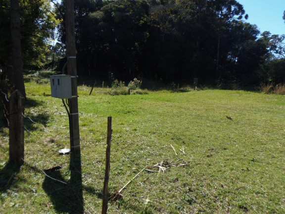 Imagem Terreno à Venda, 515 m² em Bateias - Campo Largo Imagem Terreno à Venda, 515 m² em Bateias - Campo Largo