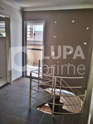 Imagem Apartamento com 3 Quartos à Venda, 55 m² em Itaquera - São Paulo