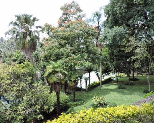 Imagem Casa à Venda, em Parque Silvino Pereira - Cotia Imagem Casa à Venda, em Parque Silvino Pereira - Cotia