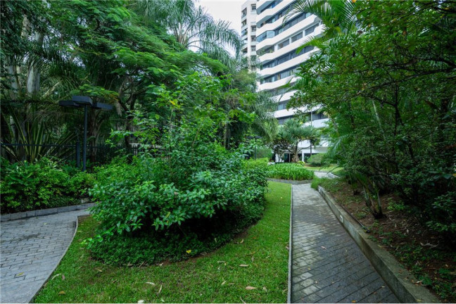 Imagem Apartamento com 3 Quartos à Venda, 185 m² em Vila Suzana - São Paulo Imagem Apartamento com 3 Quartos à Venda, 185 m² em Vila Suzana - São Paulo