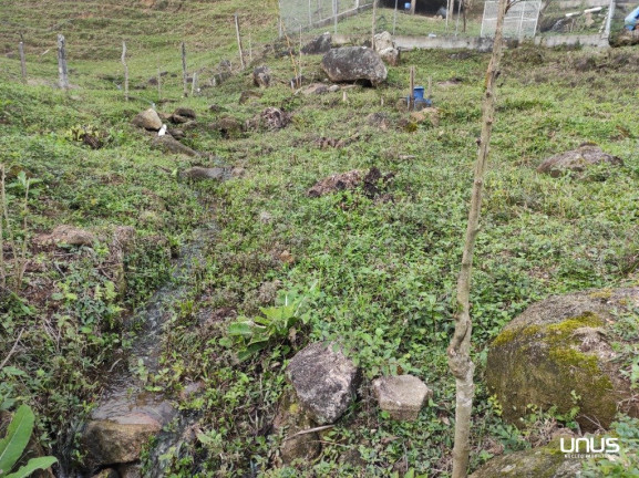 Imagem Fazenda à Venda, 13.000 m² em Pagará - São Pedro De Alcântara Imagem Fazenda à Venda, 13.000 m² em Pagará - São Pedro De Alcântara