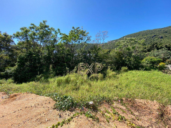 Imagem Terreno à Venda, 3.000 m² em Santo Antônio De Lisboa - Florianópolis Imagem Terreno à Venda, 3.000 m² em Santo Antônio De Lisboa - Florianópolis