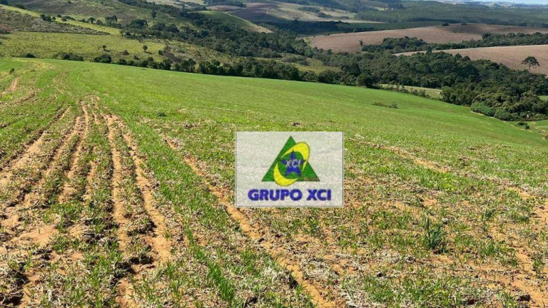 Imagem Fazenda à Venda, 3.388.000 m² em Pouso Alegre - Pouso Alegre Imagem Fazenda à Venda, 3.388.000 m² em Pouso Alegre - Pouso Alegre