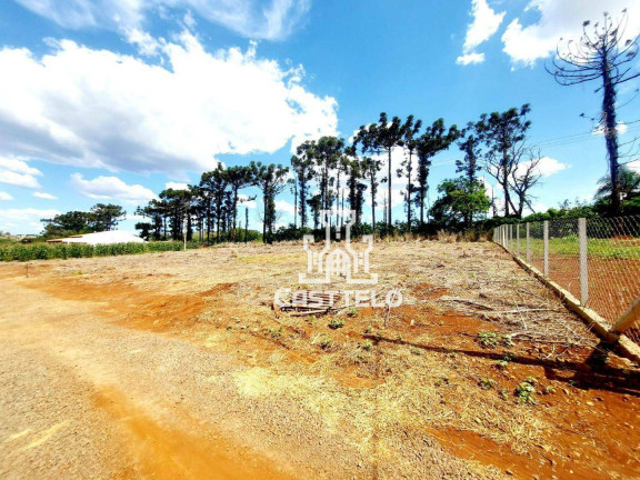 Imagem Chácara à Venda, 1.000 m² em Zona Rural - Londrina