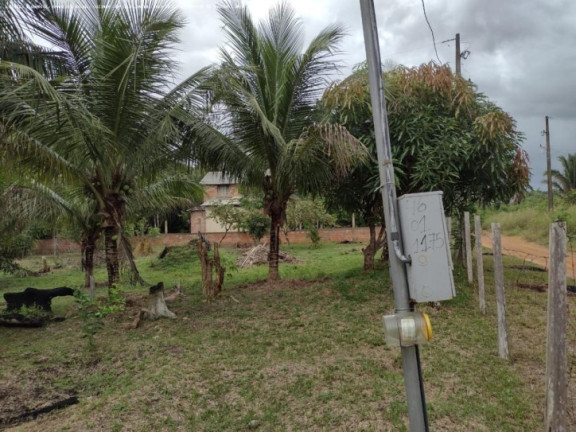 Imagem Chácara à Venda, 5.000 m² em Areia Branca - Porto Velho Imagem Chácara à Venda, 5.000 m² em Areia Branca - Porto Velho