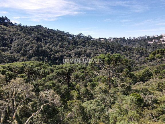 Imagem Terreno à Venda, 5.100 m² em Região Do Atalaia - Campos Do Jordão Imagem Terreno à Venda, 5.100 m² em Região Do Atalaia - Campos Do Jordão