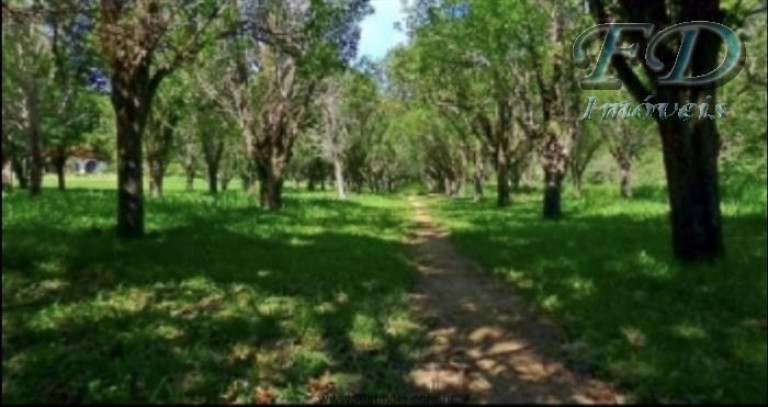 Imagem Chácara com 10 Quartos à Venda, 294.000 m² em Sul Brasil - Atibaia Imagem Chácara com 10 Quartos à Venda, 294.000 m² em Sul Brasil - Atibaia