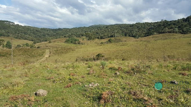 Imagem Terreno à Venda, 450.000 m² em Zona Rural - Bom Retiro Imagem Terreno à Venda, 450.000 m² em Zona Rural - Bom Retiro