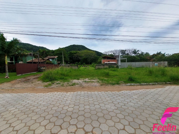 Imagem Terreno à Venda, 833 m² em Rio Tavares - Florianópolis