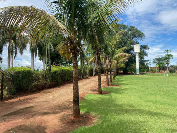 Imagem Chácara com 3 Quartos à Venda, 6 m² em Arapongas Imagem Chácara com 3 Quartos à Venda, 6 m² em Arapongas