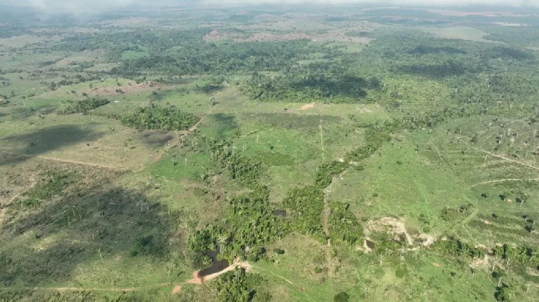 Imagem Fazenda à Venda, 650 m² em Zona Rural - Marcelândia Imagem Fazenda à Venda, 650 m² em Zona Rural - Marcelândia