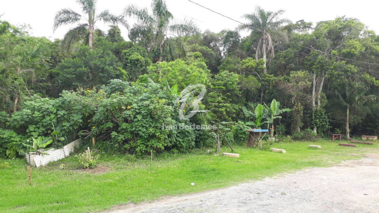 Imagem Casa com 3 Quartos à Venda, 90 m² em Morrinhos - Bombinhas
