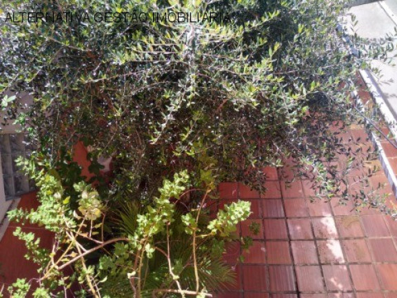 Imagem Casa à Venda, 140 m² em Jardim Bonfiglioli - São Paulo Imagem Casa à Venda, 140 m² em Jardim Bonfiglioli - São Paulo