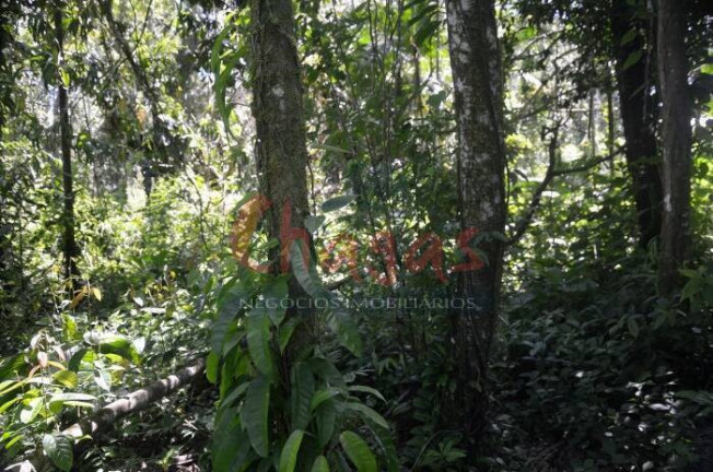 Imagem Terreno à Venda, 3.696 m² em Barranco Alto - Caraguatatuba